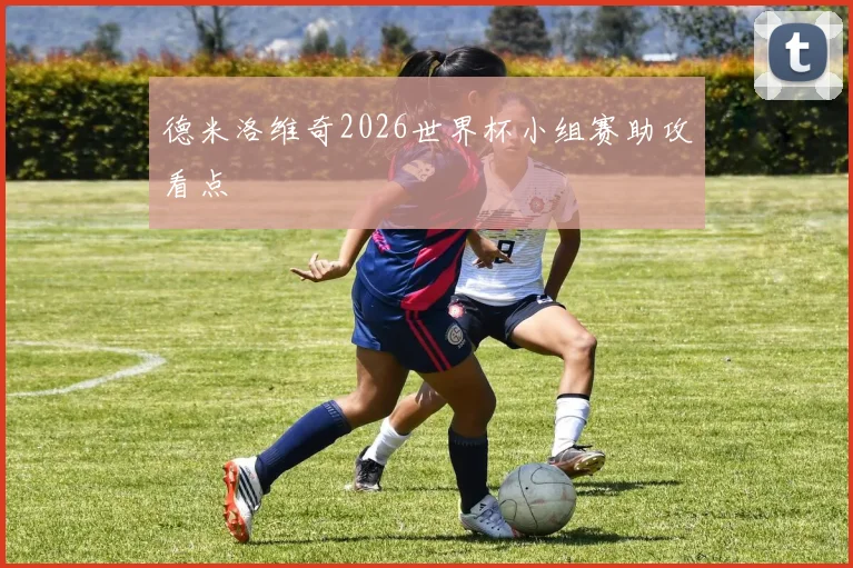 德米洛维奇2026世界杯小组赛助攻看点