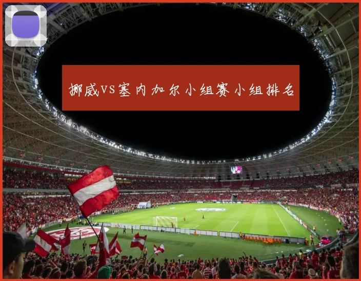 挪威vs塞内加尔小组赛小组排名