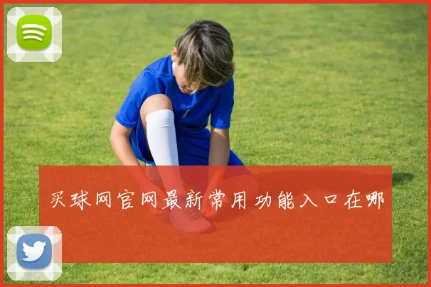 买球网官网最新常用功能入口在哪