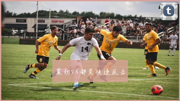 莱切vs都灵快速反击