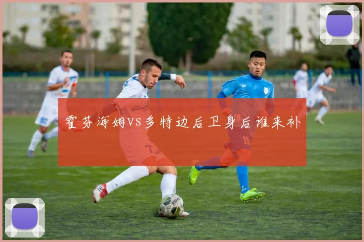 霍芬海姆vs多特边后卫身后谁来补